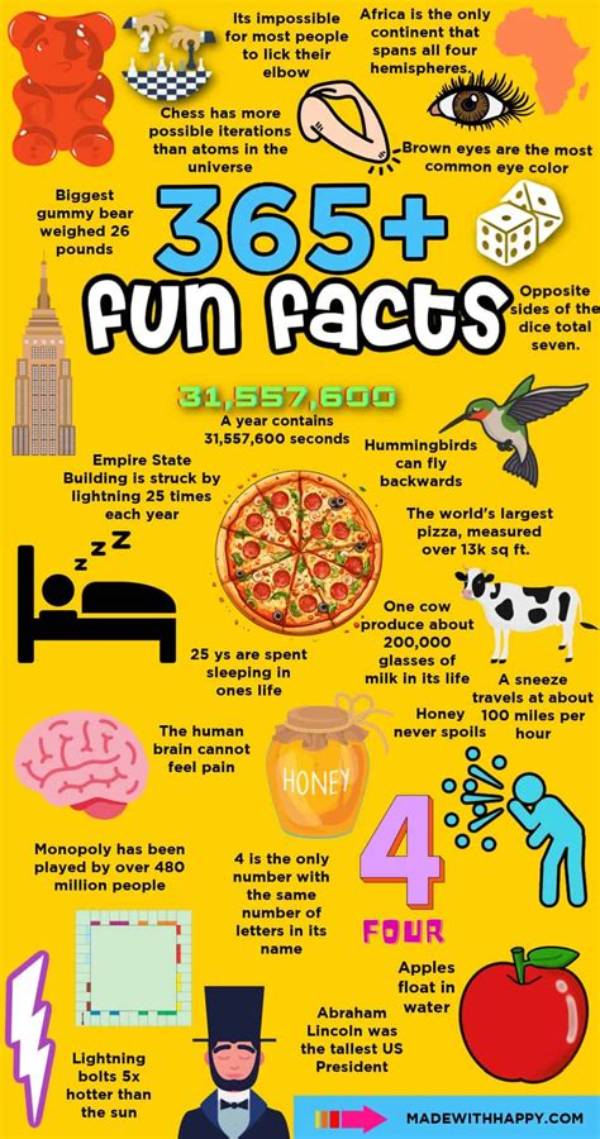 Fun Facts & Trends: Fik Fip!