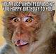 Funny Birthday Memes: the Ultimate Collection to Celebrate Your Special Day