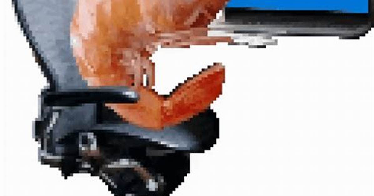 Funny Shrimp Gif: the Ultimate Guide to Laughter, Entertainment, and Pop Culture