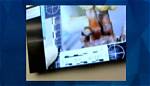 Gannon Stauch Autopsy Photos: Unveiling the Truth Behind the Tragic Story