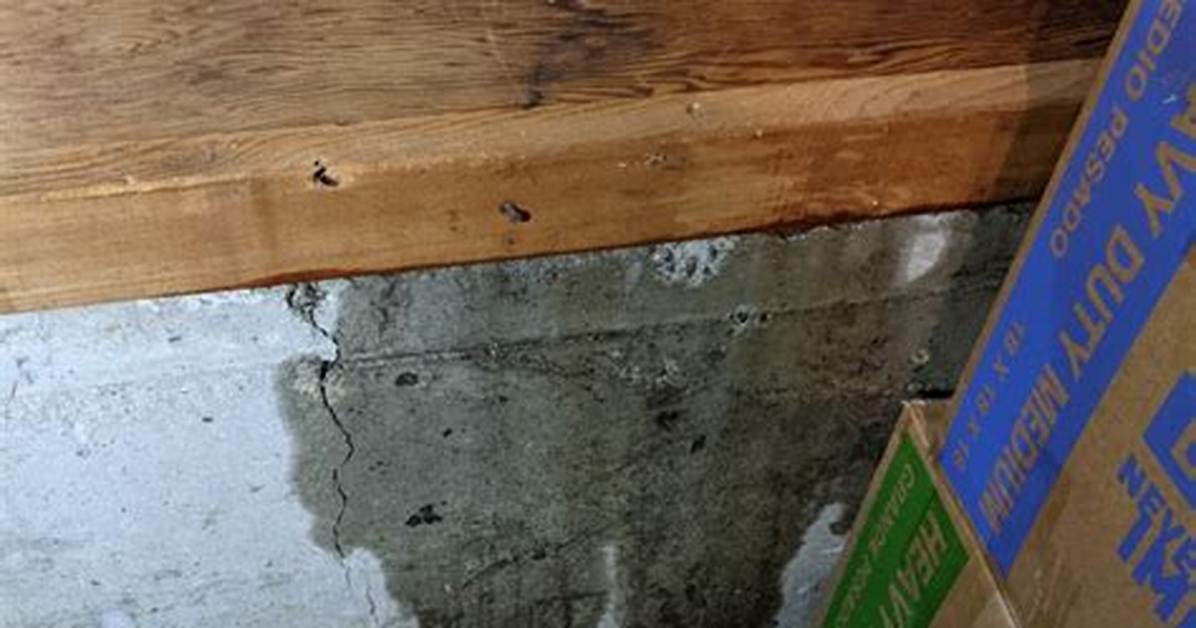 Garage Leaking Water Through the Walls
