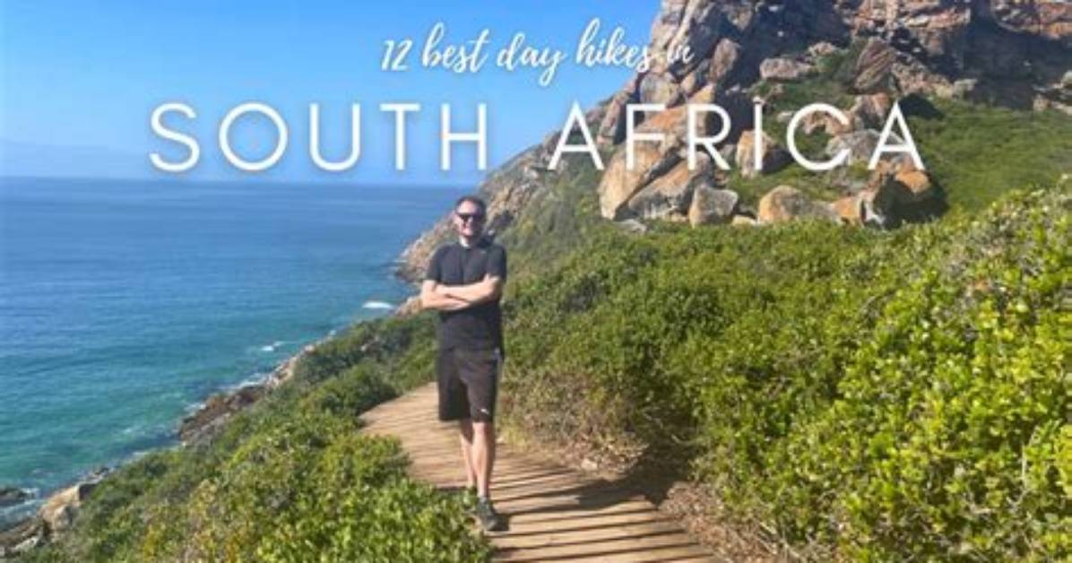 German Tourists Cut South Africa Trips Short Discoveries and Insights