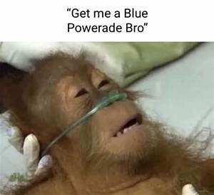 Get Me Blue Powerade Bro: the Ultimate Guide to Hydration and Energy