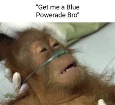 Get Me Blue Powerade Bro: the Ultimate Guide to Hydration and Energy