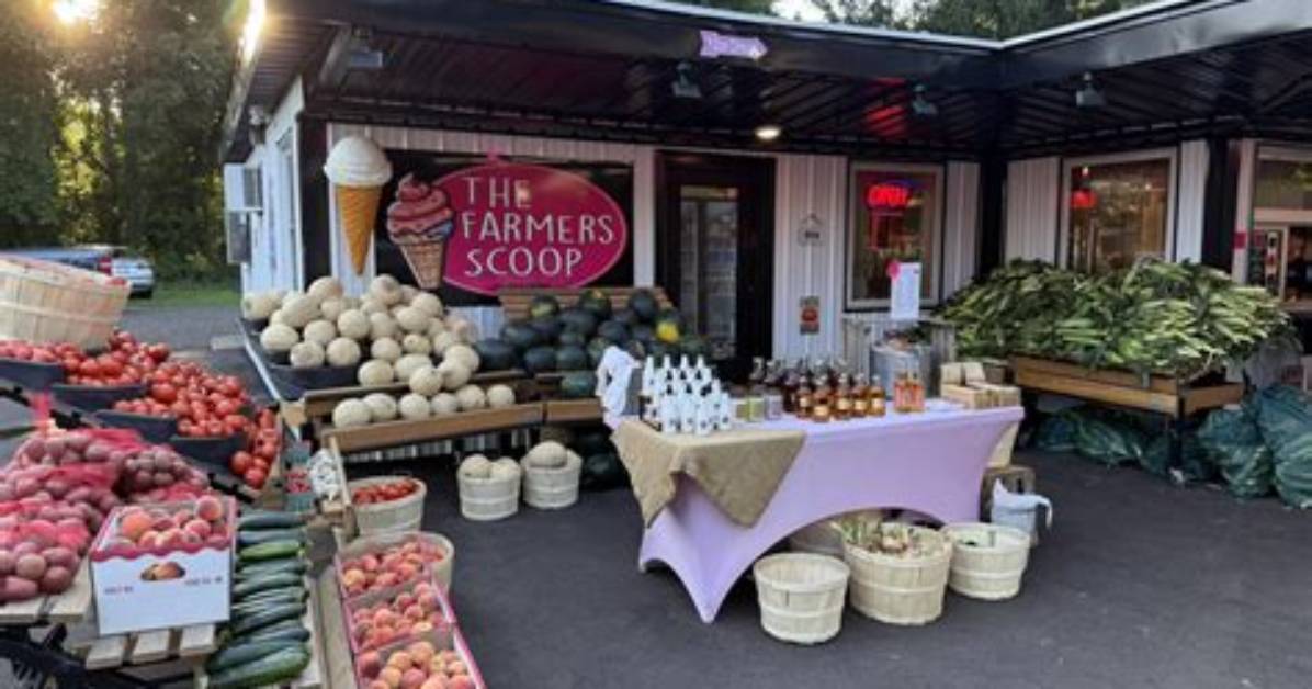 Get the Scoop How Many Little Farmers Does Molly Yeh Have Now