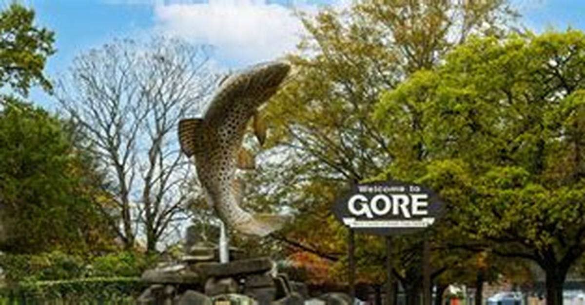 Gore Center Categories: Exploring the Depths of Horror Entertainment