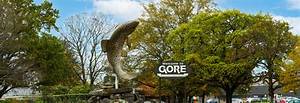 Gore Center Categories: Exploring the Depths of Horror Entertainment