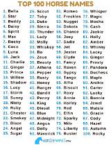 Great Horse Names: a Comprehensive Guide to Choosing the Perfect Name for Your Equine Friend