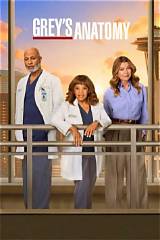 Grey's Anatomy: What No One Understands About Shane Ross