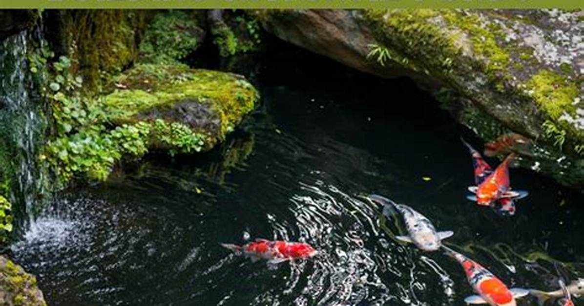 Guidelines on Building Ponds In