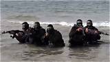 Hamas Frogmen: the Underwater Warriors of the Middle East