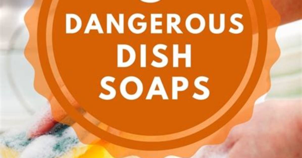 Harmful Chemicals in Dish