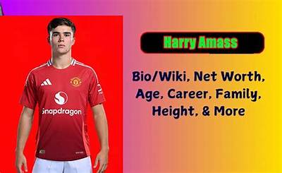 Harry Bring Height, Weight, Net Worth, Age, Birthday, Wikipedia, Who, Instagram, Biography