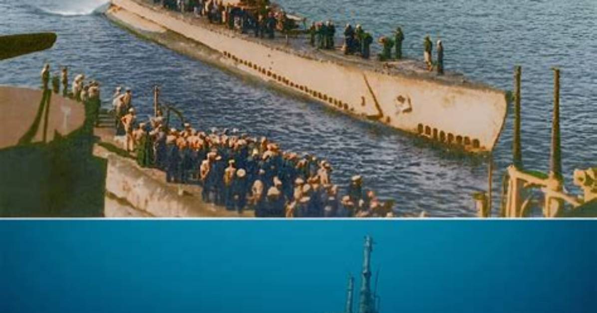 Has a Submarine Ever Torpedoed Another Submarine?