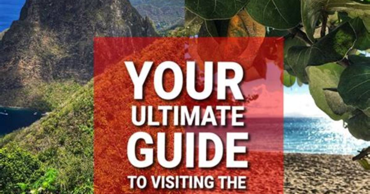 Hdmovies2 Your Ultimate Guide To
