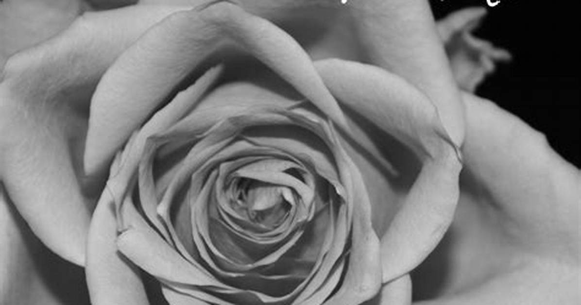 Heartbreaking Tribute