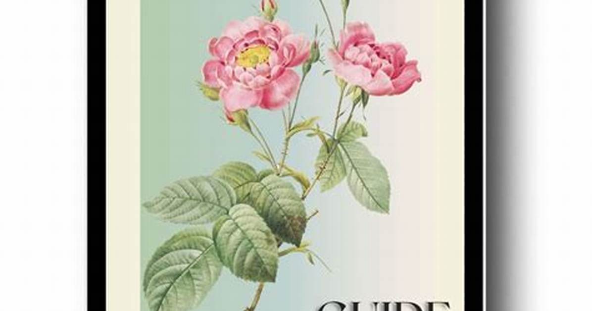 Helena Vestergaardt: a Guide to Her Life and Work
