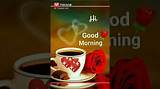Hi Good Morning Tik Tok Song and Lyrics Explained: Who Created This Trend on Tiktok? All Information