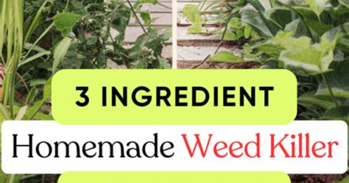 Home Remedies for Killing