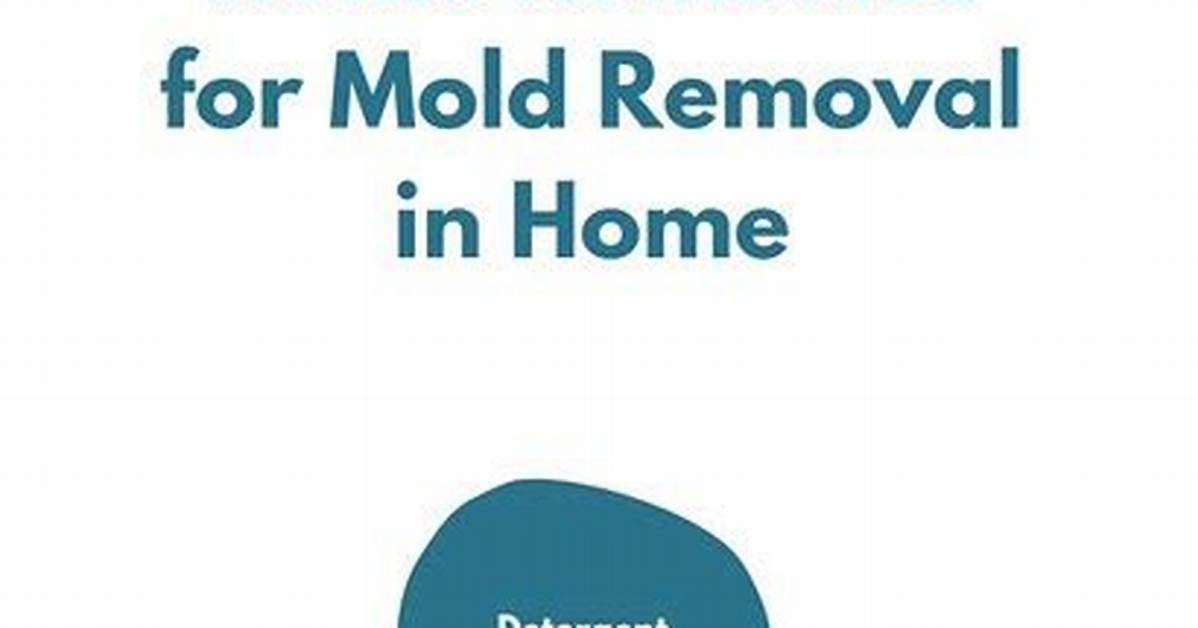 Home Remedies for Removal of Mold On