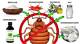 Home Remedy to Get Rid of Bugs on House Plants