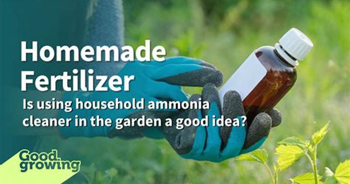 Homemade Ammonia