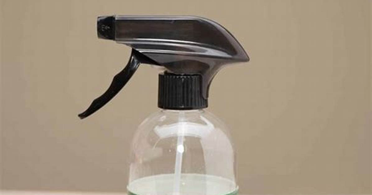 Homemade Carpenter Ant Killer | Homesteady