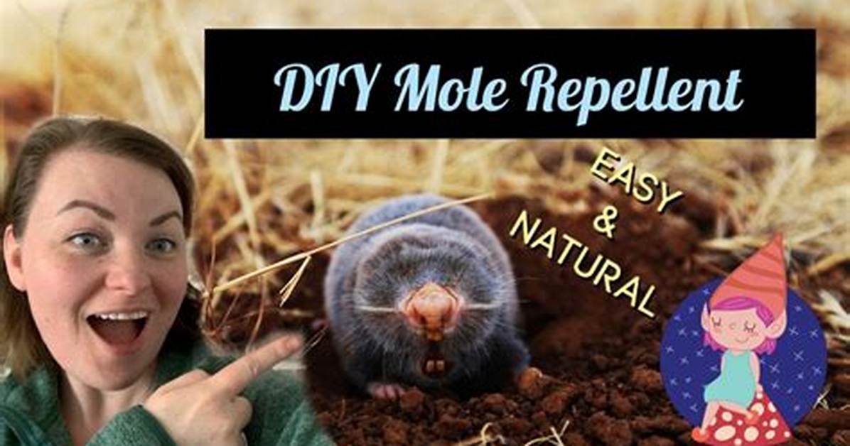 Homemade Mole Deterrent