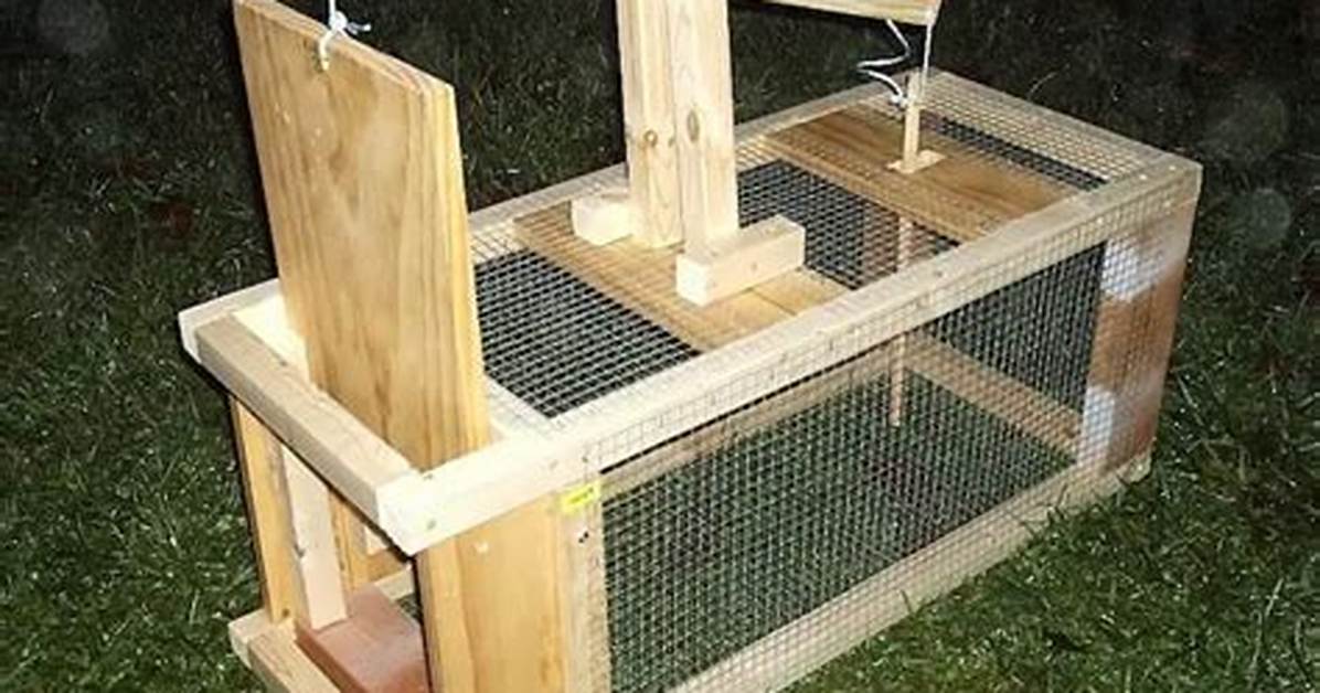 Homemade Raccoon Trap