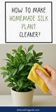 Homemade Silk Plant Cleaner | Homesteady