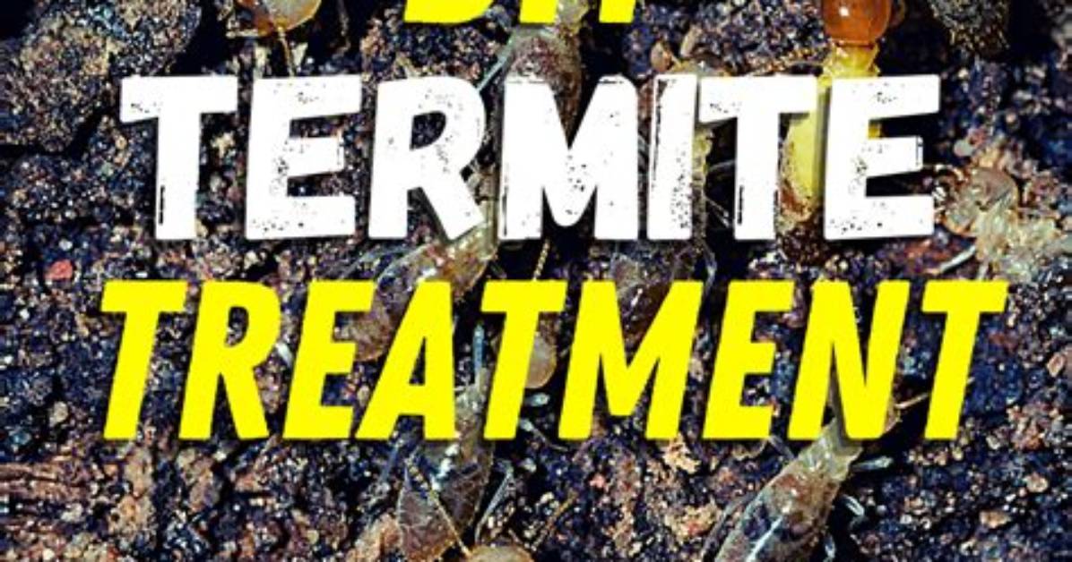Homemade Termite Killer | Homesteady