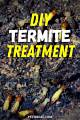 Homemade Termite Killer | Homesteady