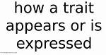 How a Trait Appears or Is Expressed