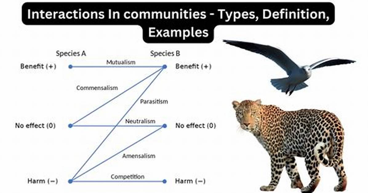 How Are Communities Distinguished in Biology