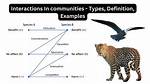 How Are Communities Distinguished in Biology