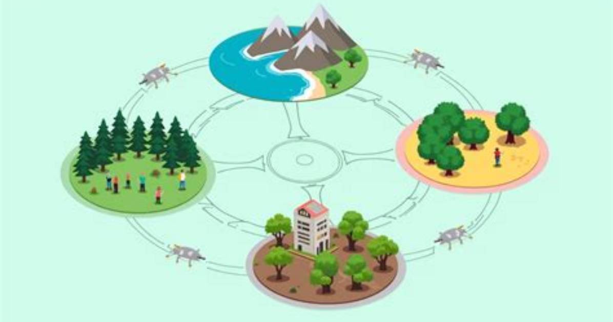 How Are Ecosystems Connected - Lisbd-Net. Com