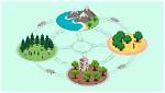 How Are Ecosystems Connected - Lisbd-Net. Com