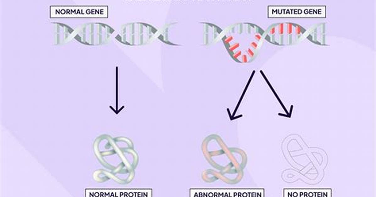 How Are Genetic Mutations Passed from Parent to Offspring?