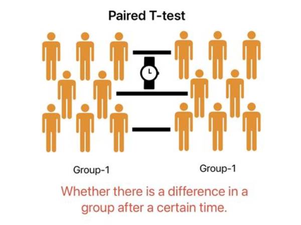 How Are Paired Association Tests Used to Determine Verbal Behavior?