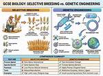 How Are Selective Breeding and Genetic Engineering Similar