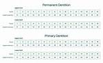 How Are Supernumerary Teeth Numbered?