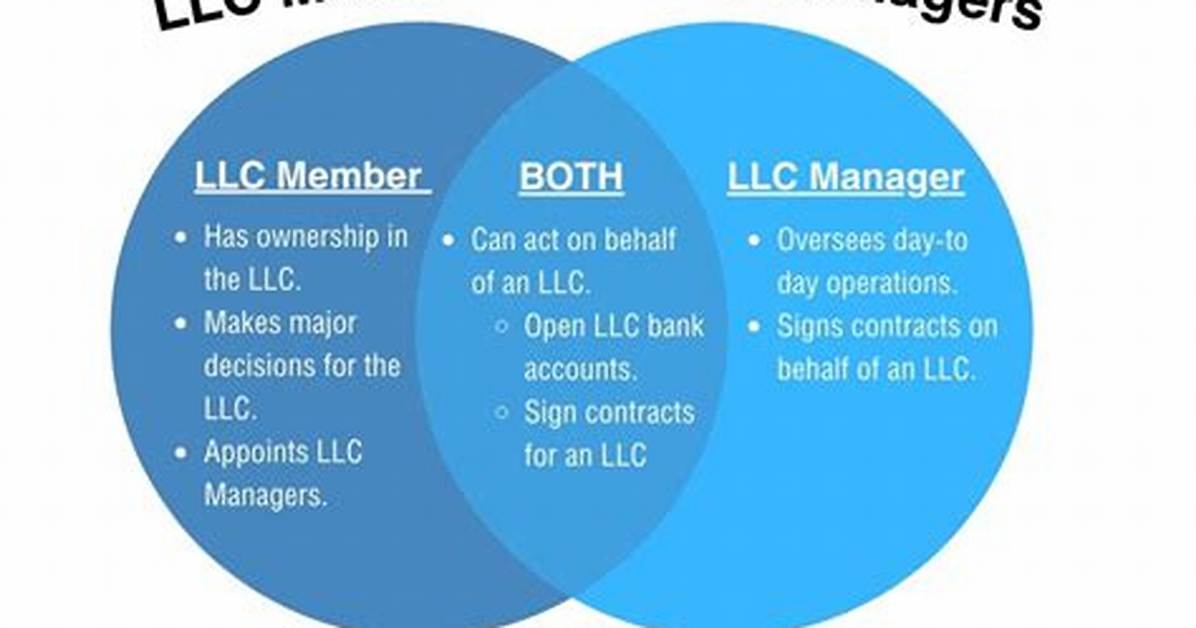 How Are the Owners of a Llc Treated?