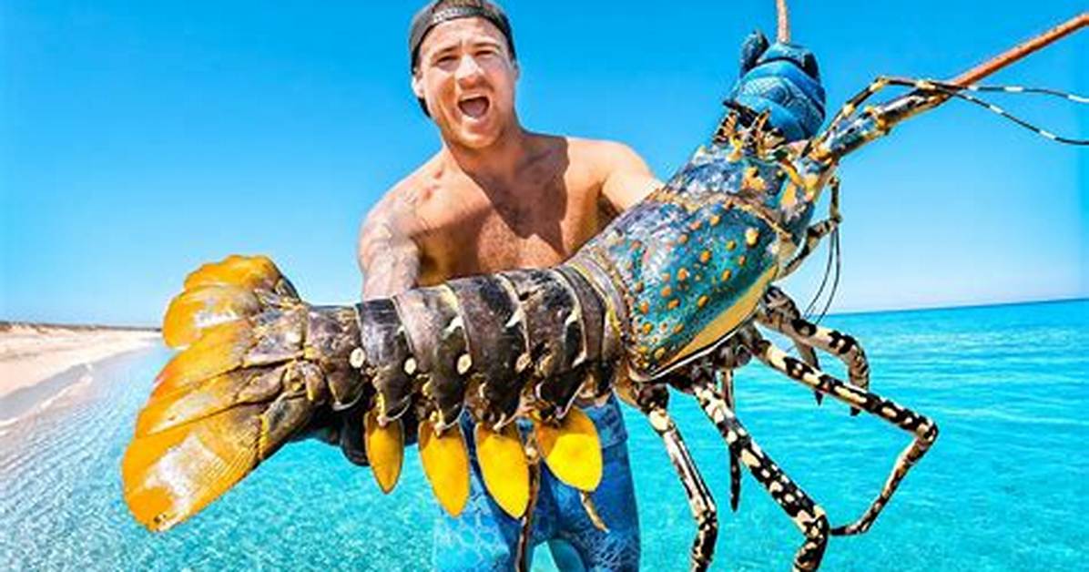 How Big Do Blue Lobsters Get