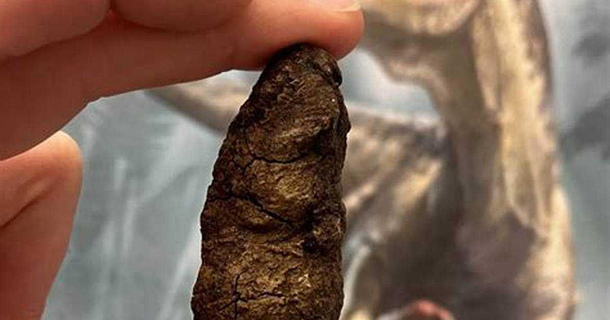 How Big Is a Dinosaur Poop?