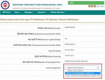 How Can I Check My Pf Withdrawal Amount in Income Tax?