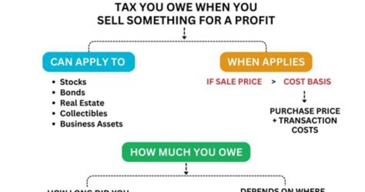 How Can I Get Better at Capital Allocation?