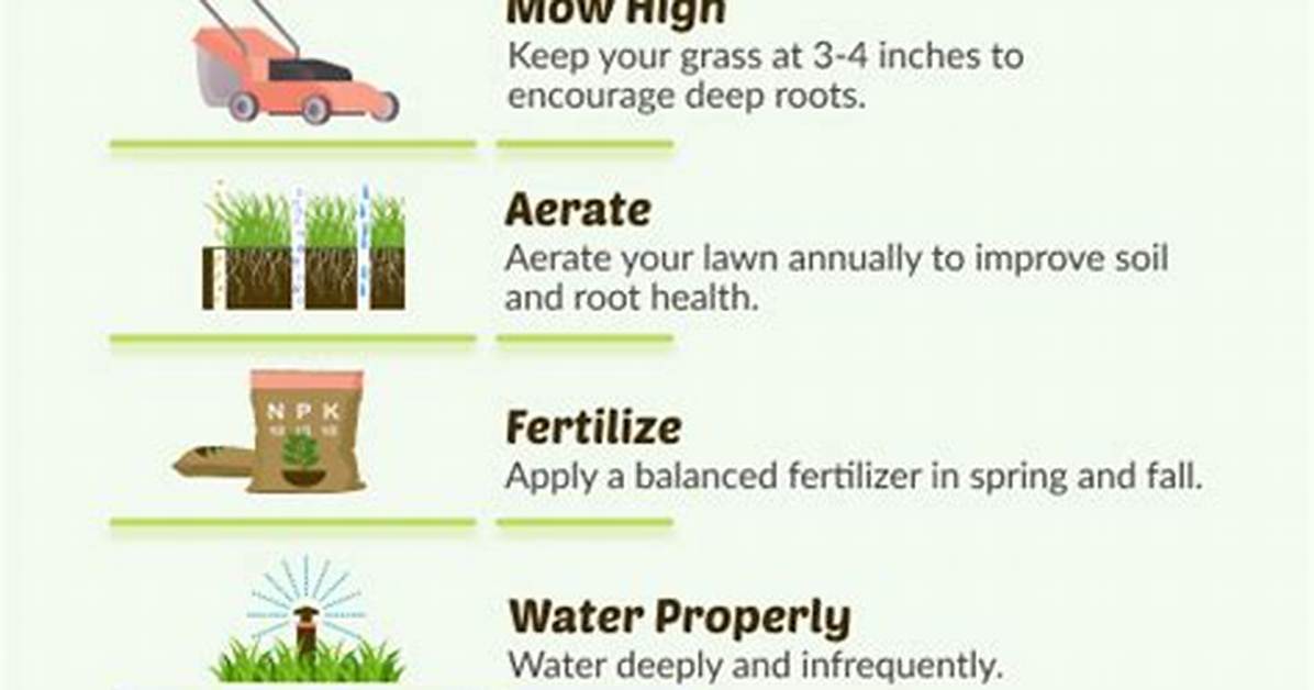 How Can I Make My Grass Thicker?