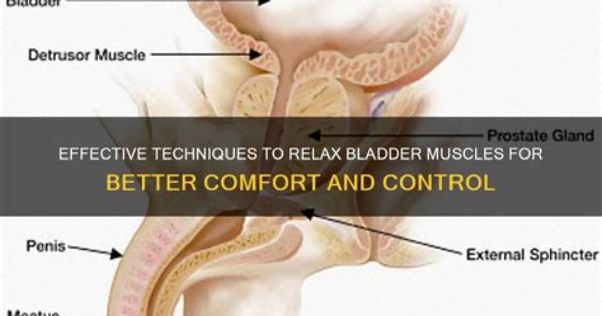 How Can I Relax My Bladder to Pee?