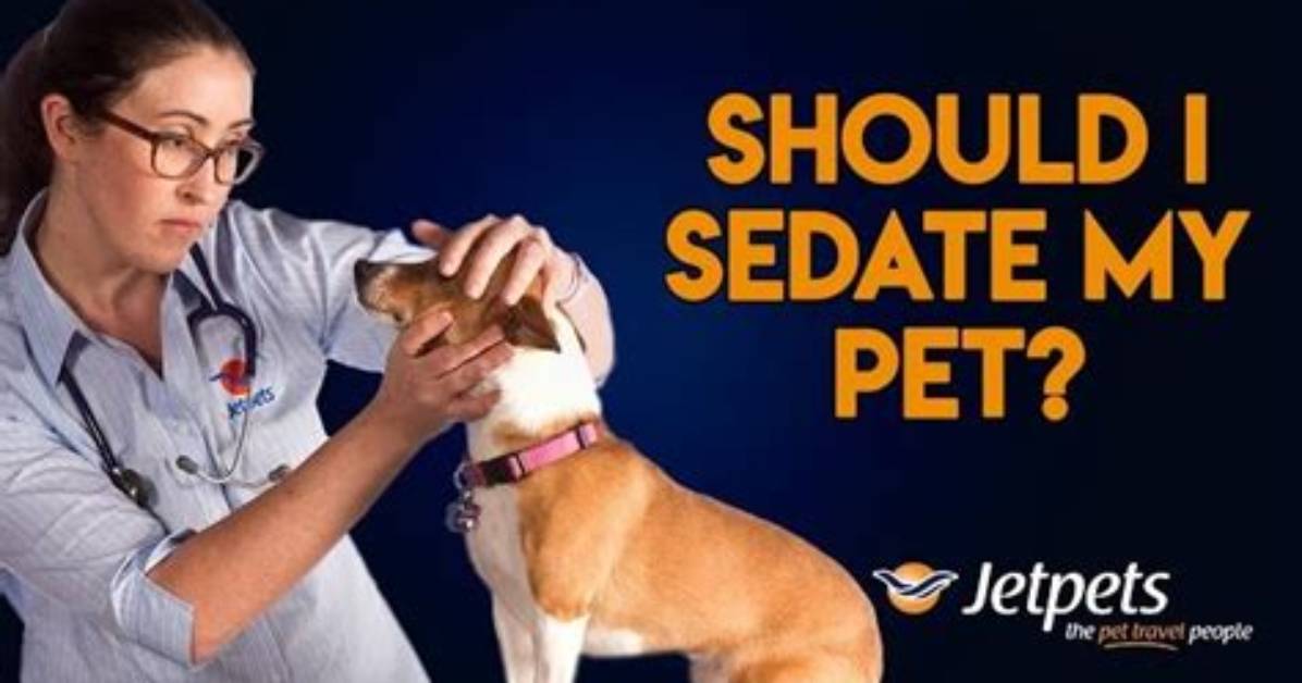 How Can I Sedate My Dog to Cut His Nails at Home?