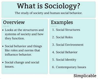 How Can Sociology Help to Resolve the Problems of Society?
